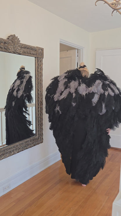 Ailes d'ange - Angel wings